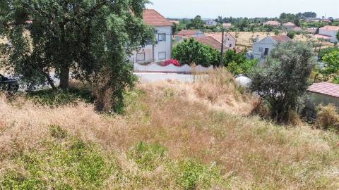 Terreno com Viabilidade de Construção no Sobral do Campo – Viva com Tranquilidade, Perto da Cidade!