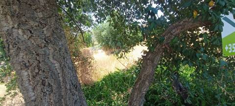 Terreno com Viabilidade de Construção no Sobral do Campo – Viva com Tranquilidade, Perto da Cidade!