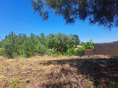 TERRENO URBANO NO SOBRAL DO CAMPO – VIVER COM QUALIDADE A CERCA DE 20 MINUTOS DE CASTELO BRANCO!