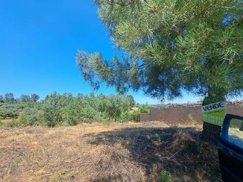 TERRENO URBANO NO SOBRAL DO CAMPO – VIVER COM QUALIDADE A CERCA DE 20 MINUTOS DE CASTELO BRANCO!