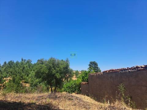 TERRENO URBANO NO SOBRAL DO CAMPO – VIVER COM QUALIDADE A CERCA DE 20 MINUTOS DE CASTELO BRANCO!