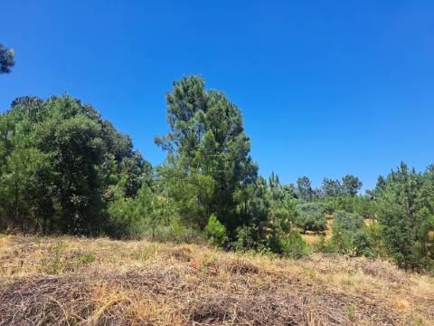 TERRENO URBANO NO SOBRAL DO CAMPO – VIVER COM QUALIDADE A CERCA DE 20 MINUTOS DE CASTELO BRANCO!