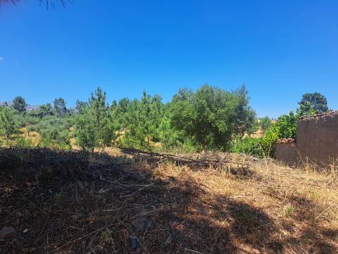 TERRENO URBANO NO SOBRAL DO CAMPO – VIVER COM QUALIDADE A CERCA DE 20 MINUTOS DE CASTELO BRANCO!