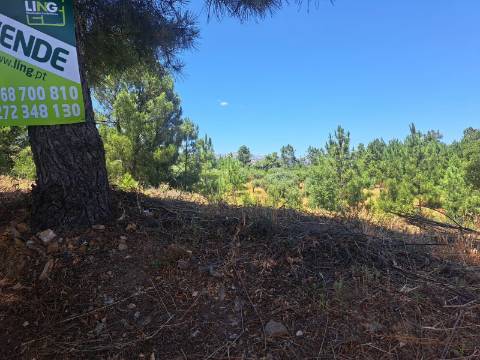 TERRENO URBANO NO SOBRAL DO CAMPO – VIVER COM QUALIDADE A CERCA DE 20 MINUTOS DE CASTELO BRANCO!