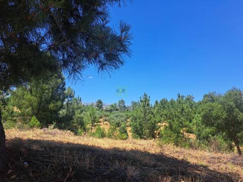 TERRENO URBANO NO SOBRAL DO CAMPO – VIVER COM QUALIDADE A CERCA DE 20 MINUTOS DE CASTELO BRANCO!