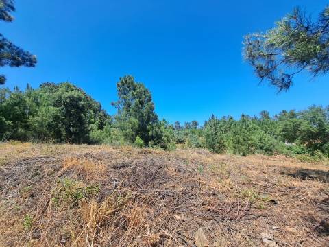 TERRENO URBANO NO SOBRAL DO CAMPO – VIVER COM QUALIDADE A CERCA DE 20 MINUTOS DE CASTELO BRANCO!