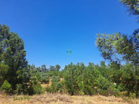 TERRENO URBANO NO SOBRAL DO CAMPO – VIVER COM QUALIDADE A CERCA DE 20 MINUTOS DE CASTELO BRANCO!