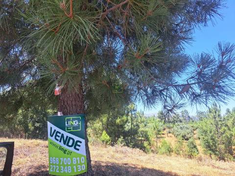 TERRENO URBANO NO SOBRAL DO CAMPO – VIVER COM QUALIDADE A CERCA DE 20 MINUTOS DE CASTELO BRANCO!