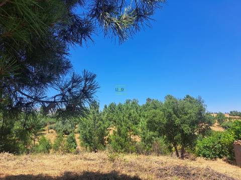 TERRENO URBANO NO SOBRAL DO CAMPO – VIVER COM QUALIDADE A CERCA DE 20 MINUTOS DE CASTELO BRANCO!
