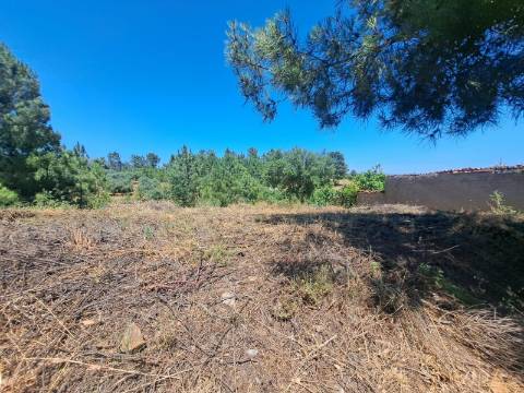 TERRENO URBANO NO SOBRAL DO CAMPO – VIVER COM QUALIDADE A CERCA DE 20 MINUTOS DE CASTELO BRANCO!