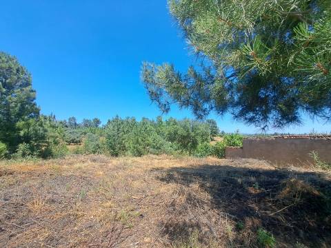 TERRENO URBANO NO SOBRAL DO CAMPO – VIVER COM QUALIDADE A CERCA DE 20 MINUTOS DE CASTELO BRANCO!