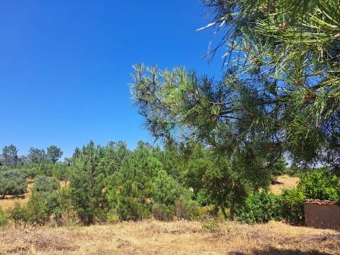 TERRENO URBANO NO SOBRAL DO CAMPO – VIVER COM QUALIDADE A CERCA DE 20 MINUTOS DE CASTELO BRANCO!