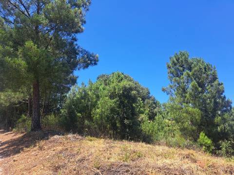 TERRENO URBANO NO SOBRAL DO CAMPO – VIVER COM QUALIDADE A CERCA DE 20 MINUTOS DE CASTELO BRANCO!
