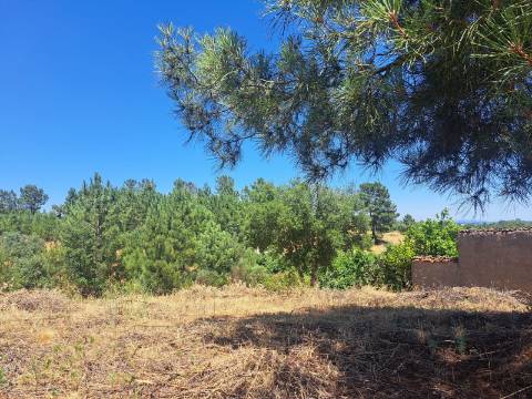 TERRENO URBANO NO SOBRAL DO CAMPO – VIVER COM QUALIDADE A CERCA DE 20 MINUTOS DE CASTELO BRANCO!