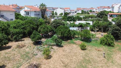 Terreno Urbano  Venda em Castelo Branco,Castelo Branco