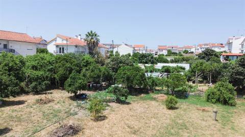 Terreno Urbano  Venda em Castelo Branco,Castelo Branco