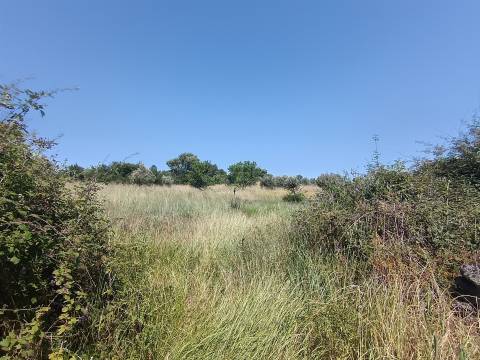 Terreno rural em Penamacor