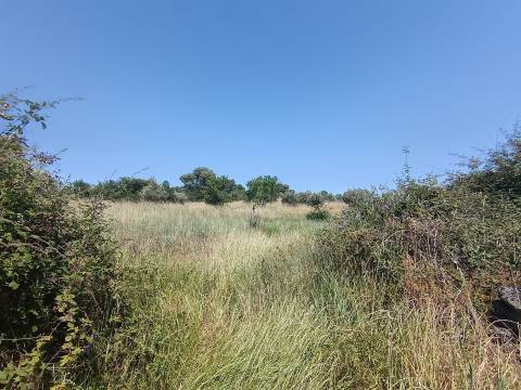 Terreno rural em Penamacor