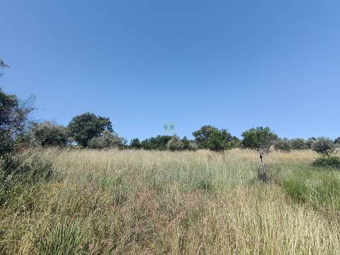 Terreno rural em Penamacor