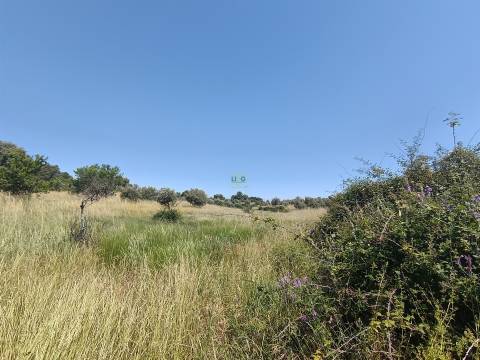 Terreno rural em Penamacor