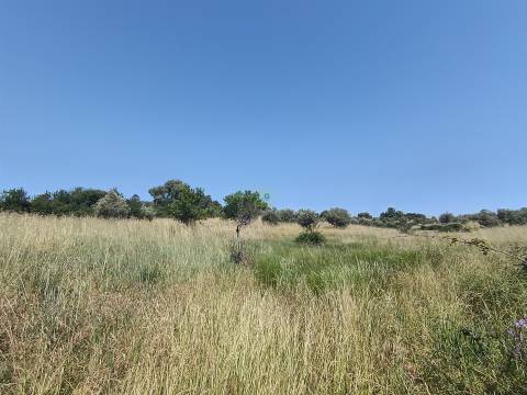 Terreno rural em Penamacor