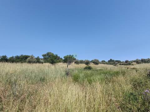 Terreno rural em Penamacor