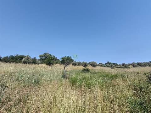 Terreno rural em Penamacor