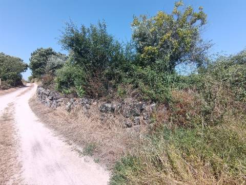 Terreno rural em Penamacor