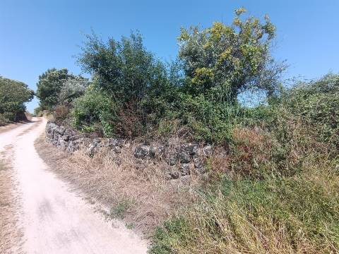 Terreno rural em Penamacor