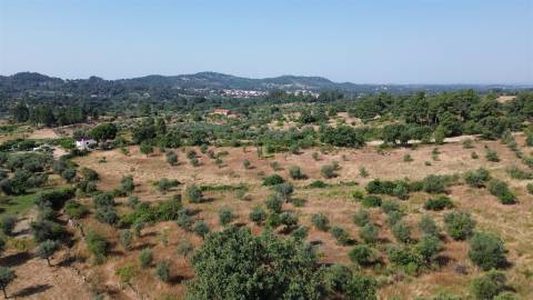 Terreno rural em Penamacor