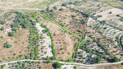 Terreno rural em Penamacor