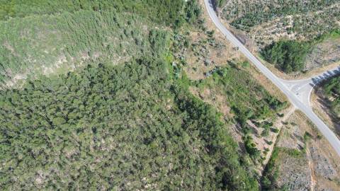 Terreno Rústico  Venda em Fratel,Vila Velha de Rodão