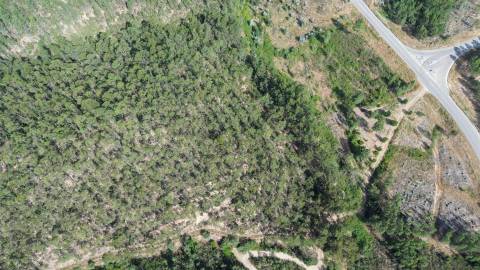 Terreno Rústico  Venda em Fratel,Vila Velha de Rodão