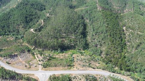 Terreno Rústico  Venda em Fratel,Vila Velha de Rodão