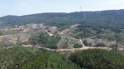 Terreno Rústico  Venda em Fratel,Vila Velha de Rodão