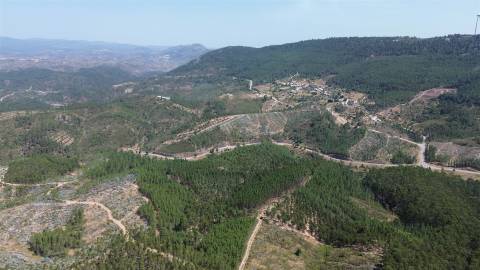 Terreno Rústico  Venda em Fratel,Vila Velha de Rodão