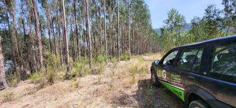 Terreno Rústico  Venda em Fratel,Vila Velha de Rodão