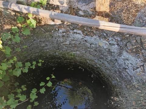 Terreno rústico Salvador