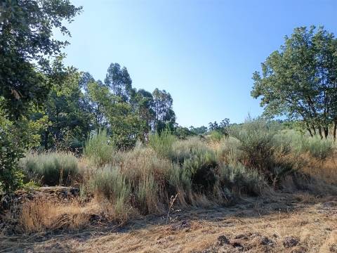 Terreno rústico Salvador