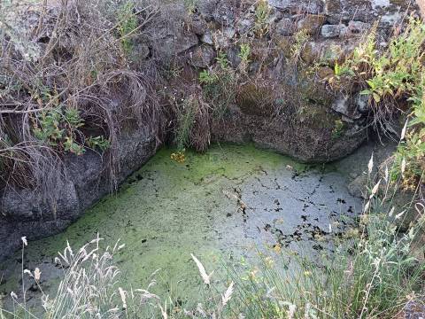 Terreno rústico Salvador