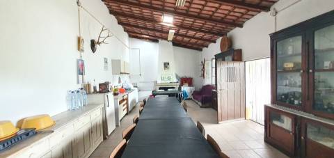 Quinta para venda em Castelo Branco com 4.5HA