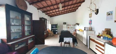 Quinta para venda em Castelo Branco com 4.5HA