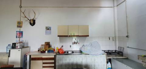 Quinta para venda em Castelo Branco com 4.5HA