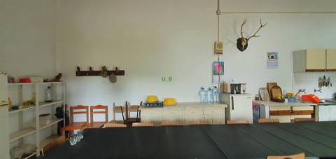 Quinta para venda em Castelo Branco com 4.5HA