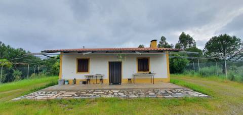 Quinta para venda em Castelo Branco com 4.5HA