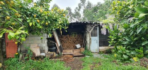 Quinta para venda em Castelo Branco com 4.5HA