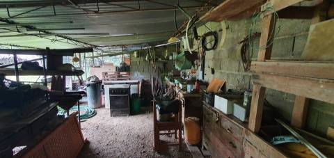 Quinta para venda em Castelo Branco com 4.5HA