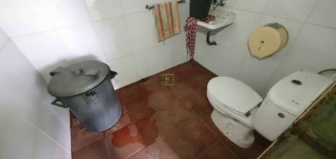 Quinta para venda em Castelo Branco com 4.5HA