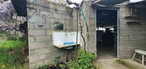 Quinta para venda em Castelo Branco com 4.5HA