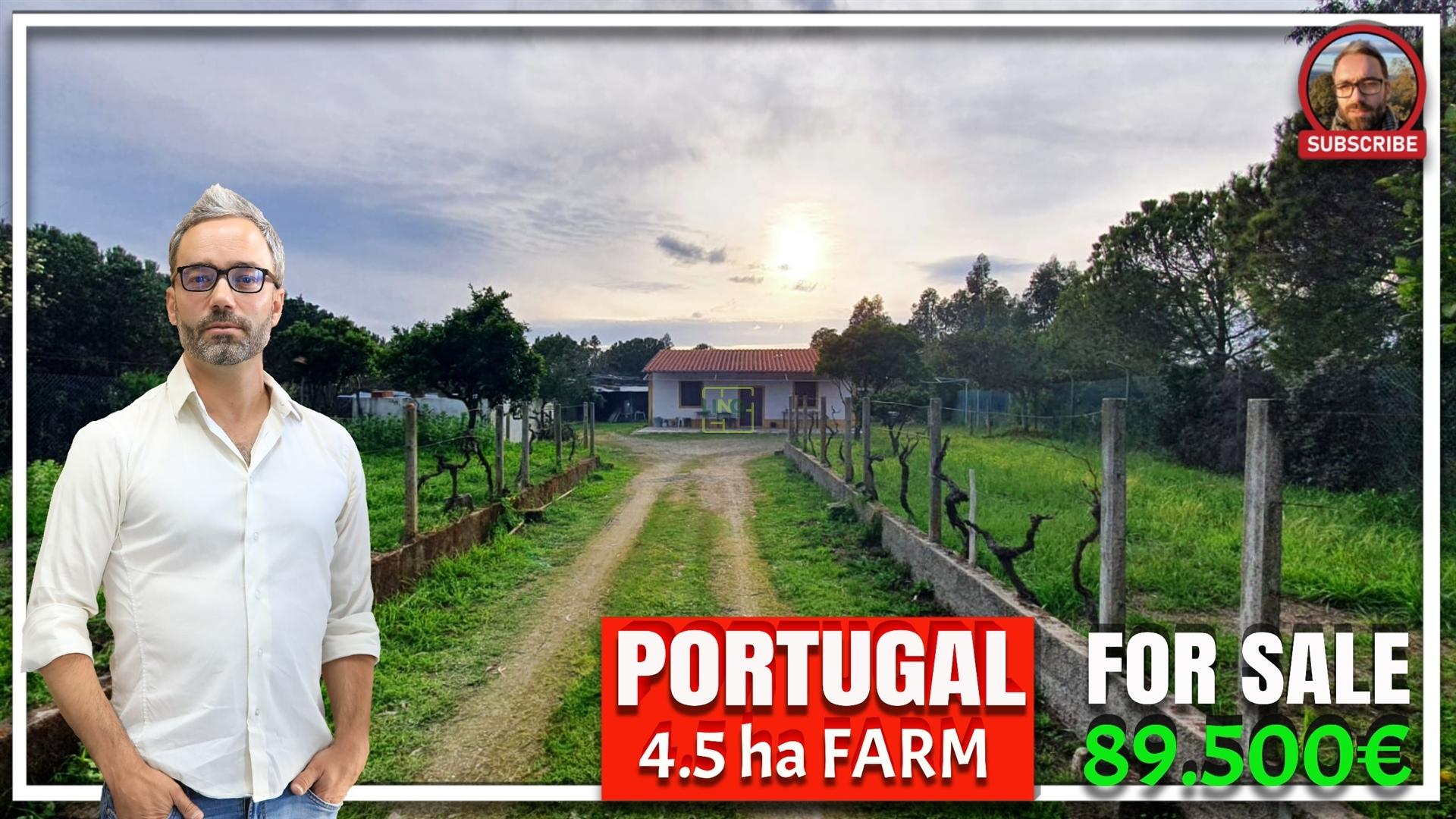 Quinta para venda em Castelo Branco com 4.5HA